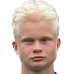 M. Könkkölä