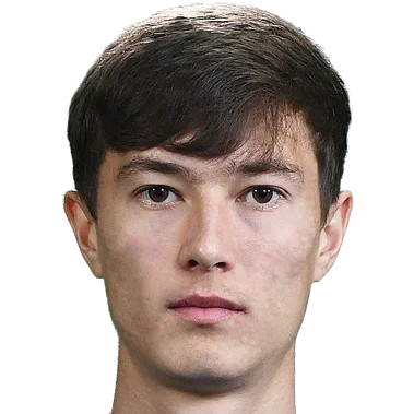 I. Ibragimov