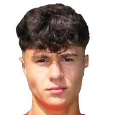 L. Vujanic