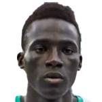 Player: S. Cisse