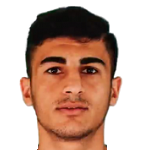 S. Polat