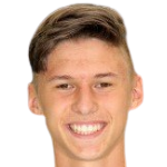 F. Slavíček