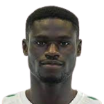 Player: Cheikh Diamanka