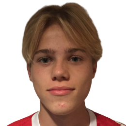 Player: T. Pedersen