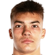 M. Zivkovic