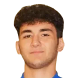 F. Arslan