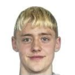 V. Dadason