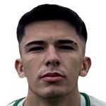 Arda Yeşil