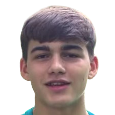 S. Gianini