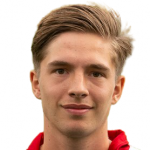 M. van Mil