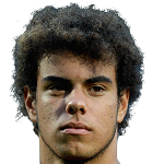 Pedro Ferreira