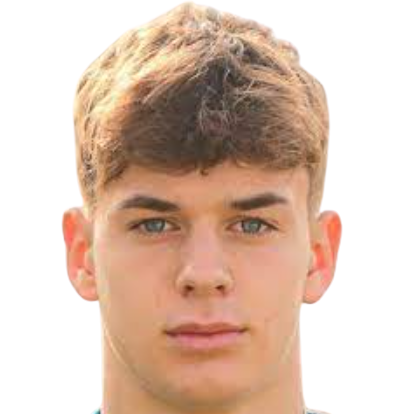 A. Vasić