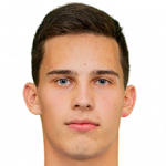 N. Rauluševičius