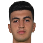 Y. Demir