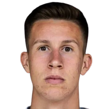 R. Zikovic