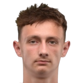 Player: D. Hollý