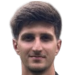 Yiğit Halit Yılmaz