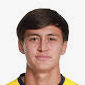 N. Ibraimov