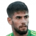 S. Popovic