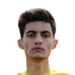 Hasan Alper Akan