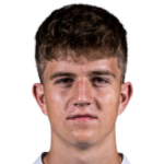 A. Dziedzic