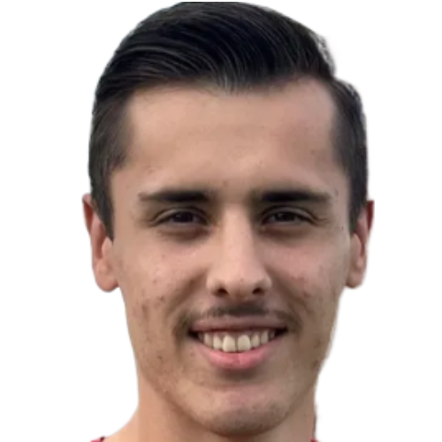 Player: F. Serdarusic