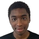 M. Diallo