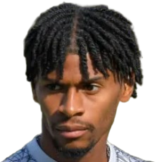 Z. Amir