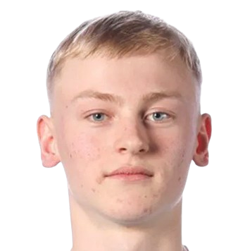 V. Karlsson