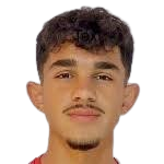 M. Hamza