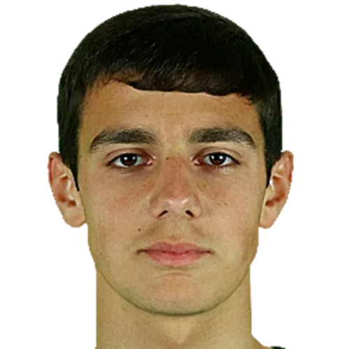 Player: H. Ghazaryan