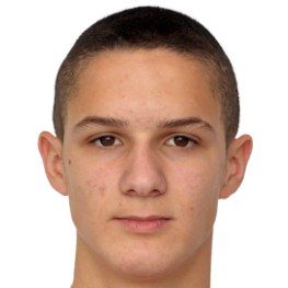 A. Ristić