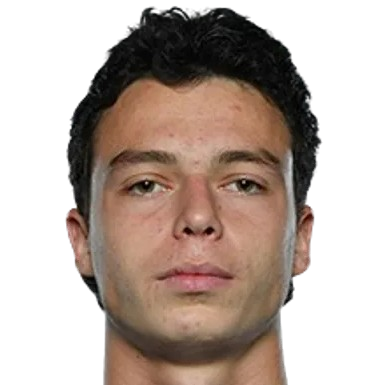 N. Tsetskhladze