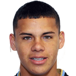 M. Araujo