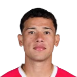 L. Villarreal