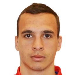 M. Lazarevic