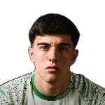 Arthur Borghi