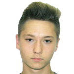 K. Krylov