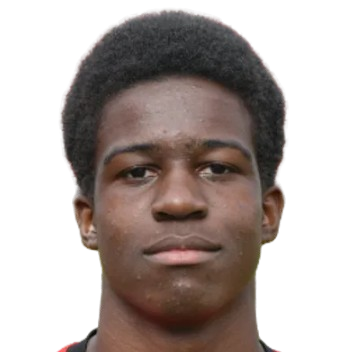 M. Moussa