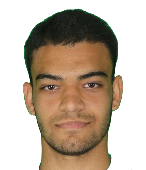 Berk Saray