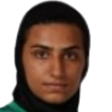 F. Amineh