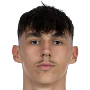 N. Kljajić