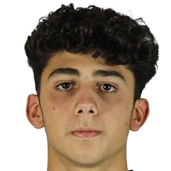 N. Gishyan