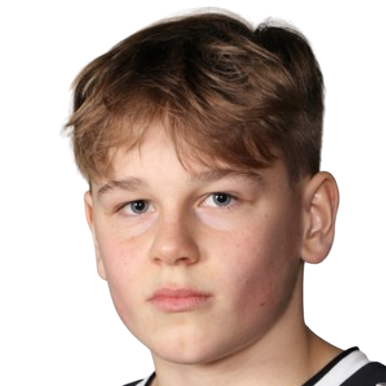 photo Akseli Viljami Puukko