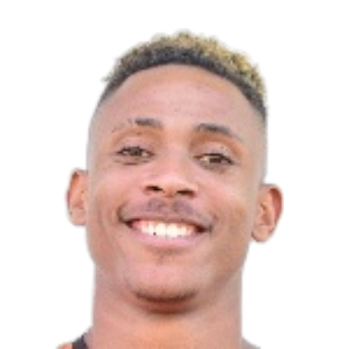 Player: L. Sebetlela