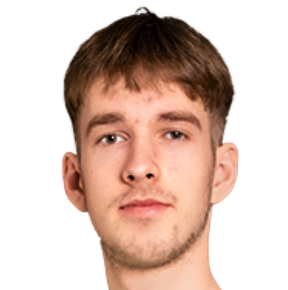 K. Mikulskis