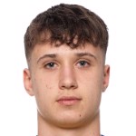 K. Busuladzic