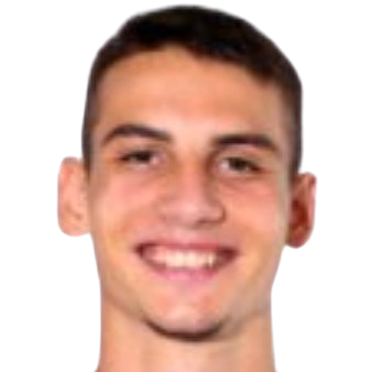 Player: D. Teodorović