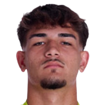 D. Ferreira