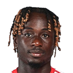 Vladimir Mendes